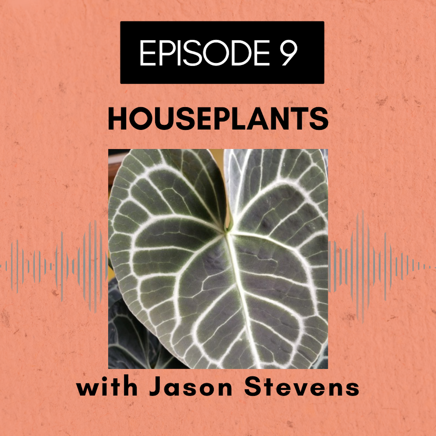 Roots and All - Gardening Podcast