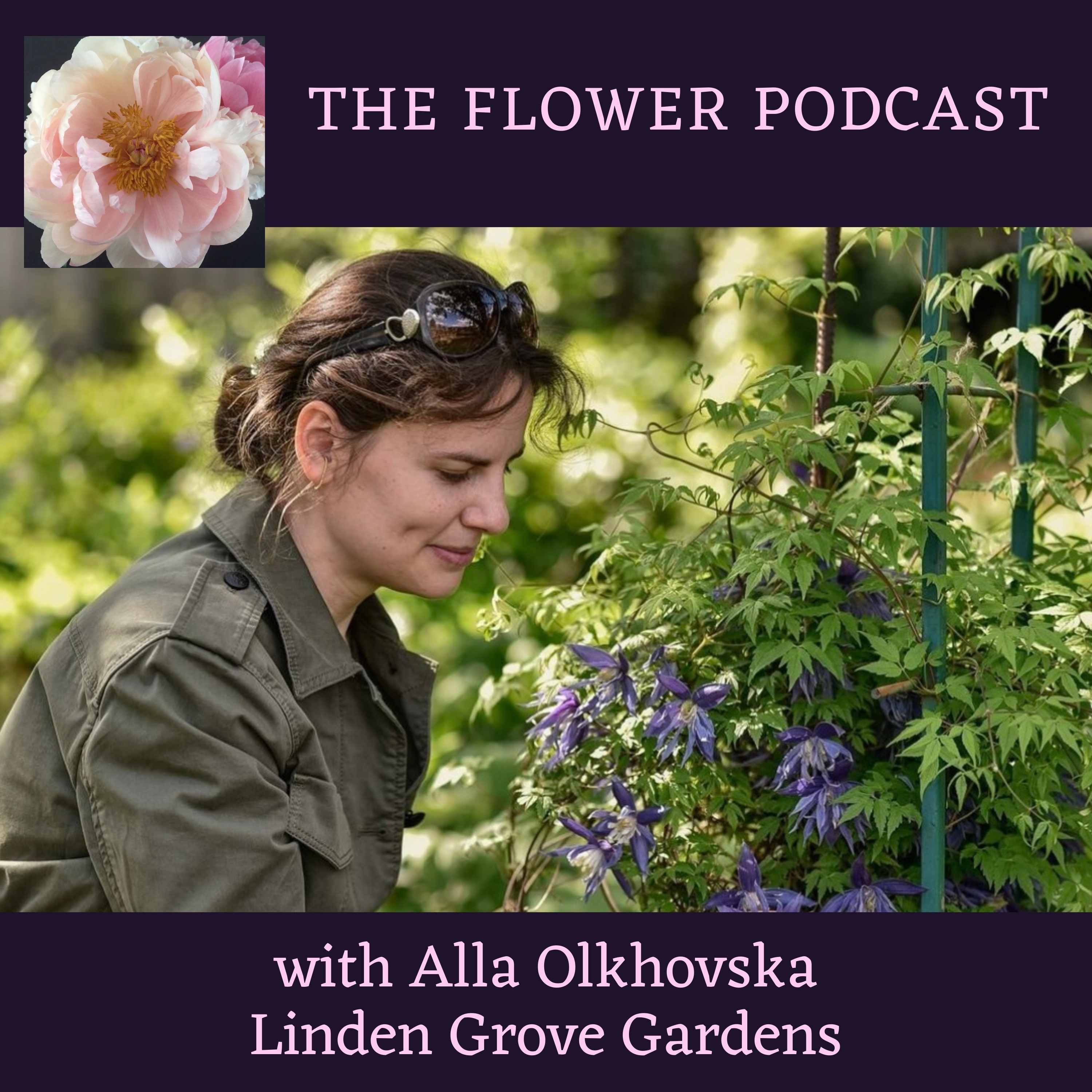 The Flower Podcast
