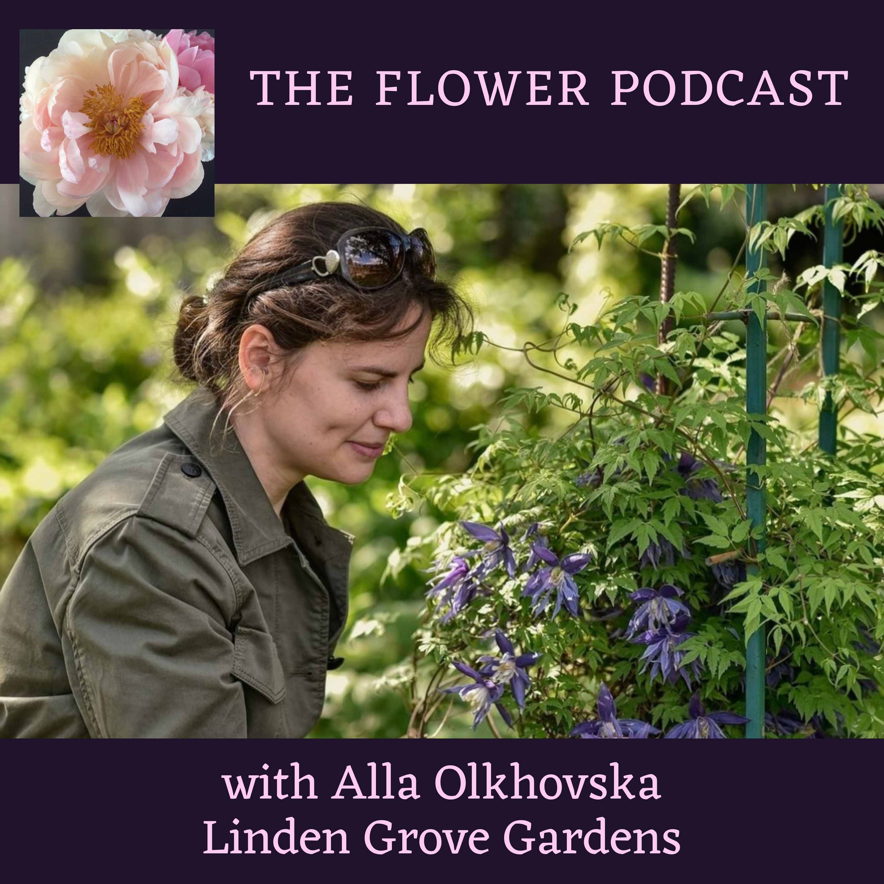 Exploring the World of Clematis with Alla Olkhovska of Linden Grove Gardens