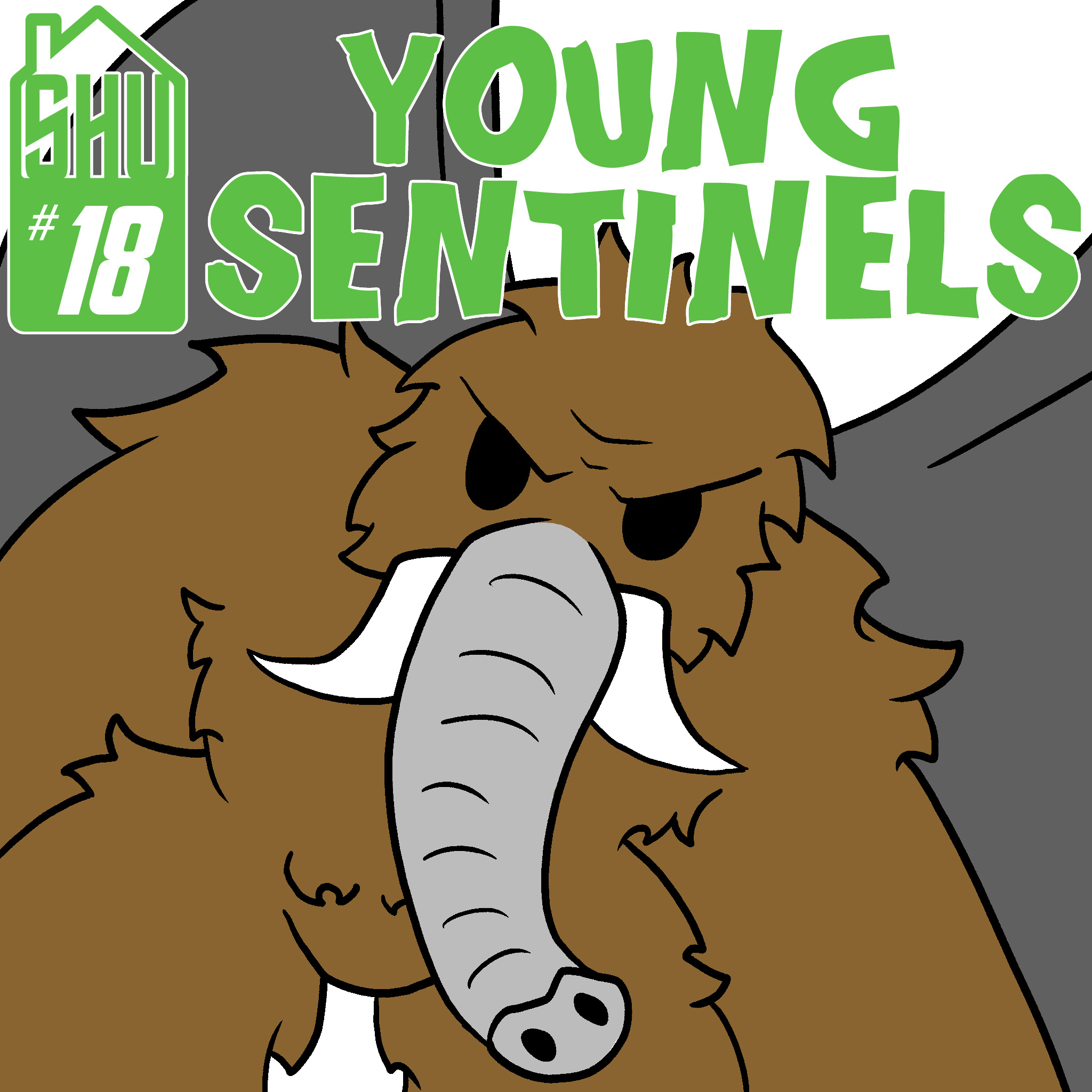 Young Sentinels #18
