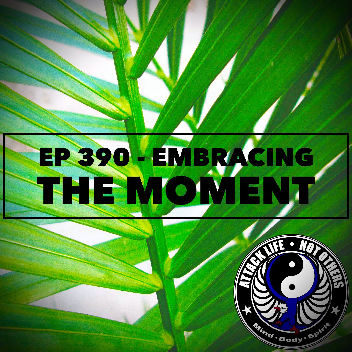 Ep 390 - Embracing the Moment Ep 390 - Embracing the Moment