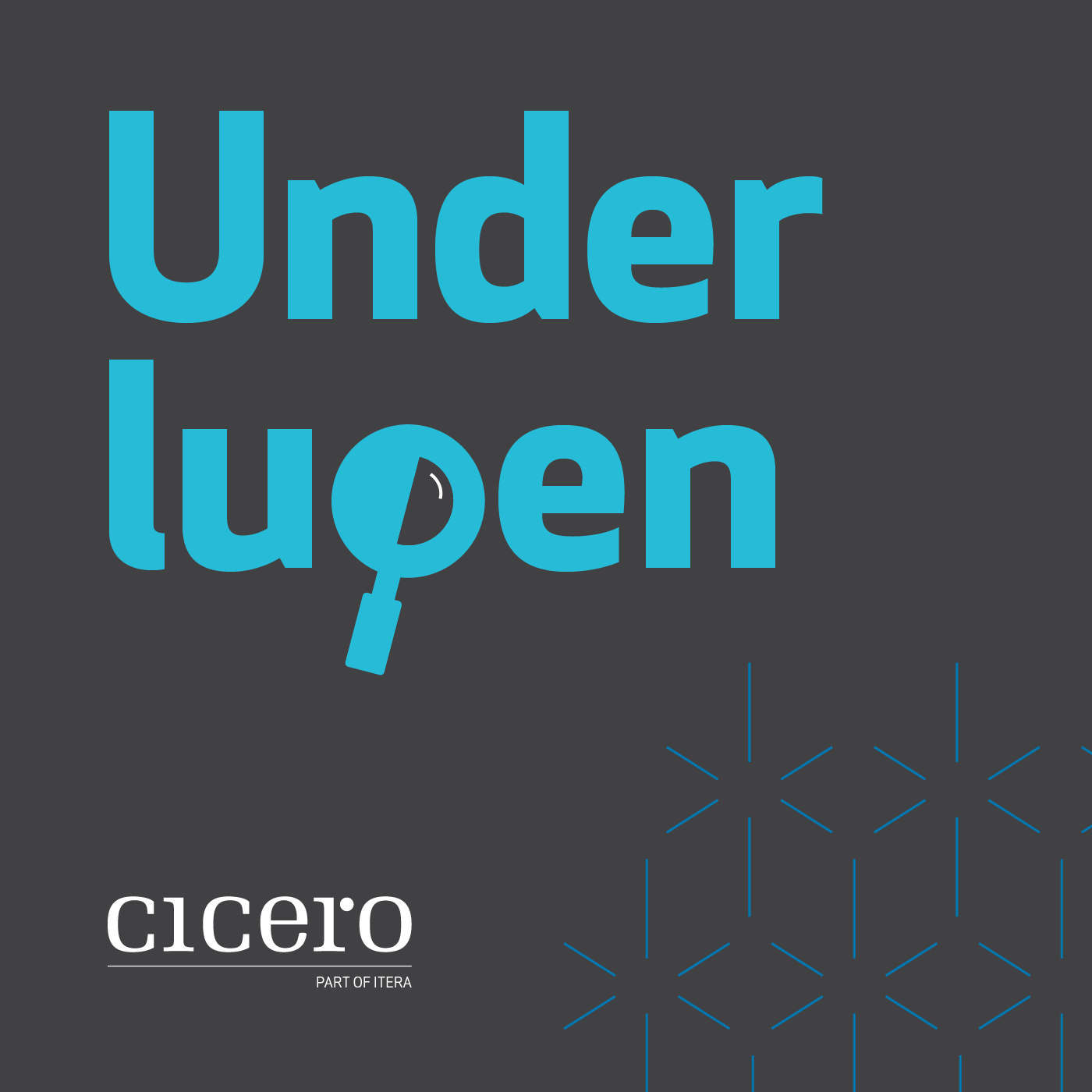 Under lupen - ufiltrert og nedpå om bank & finans