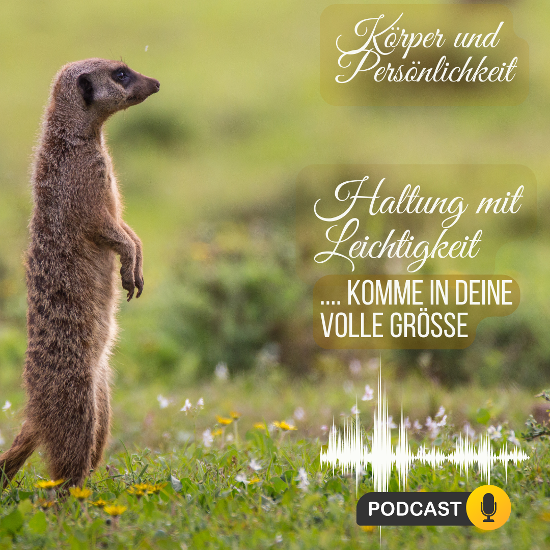 Das Zusammenspiel von Körper und Persönlichkeit; Körperbewegt