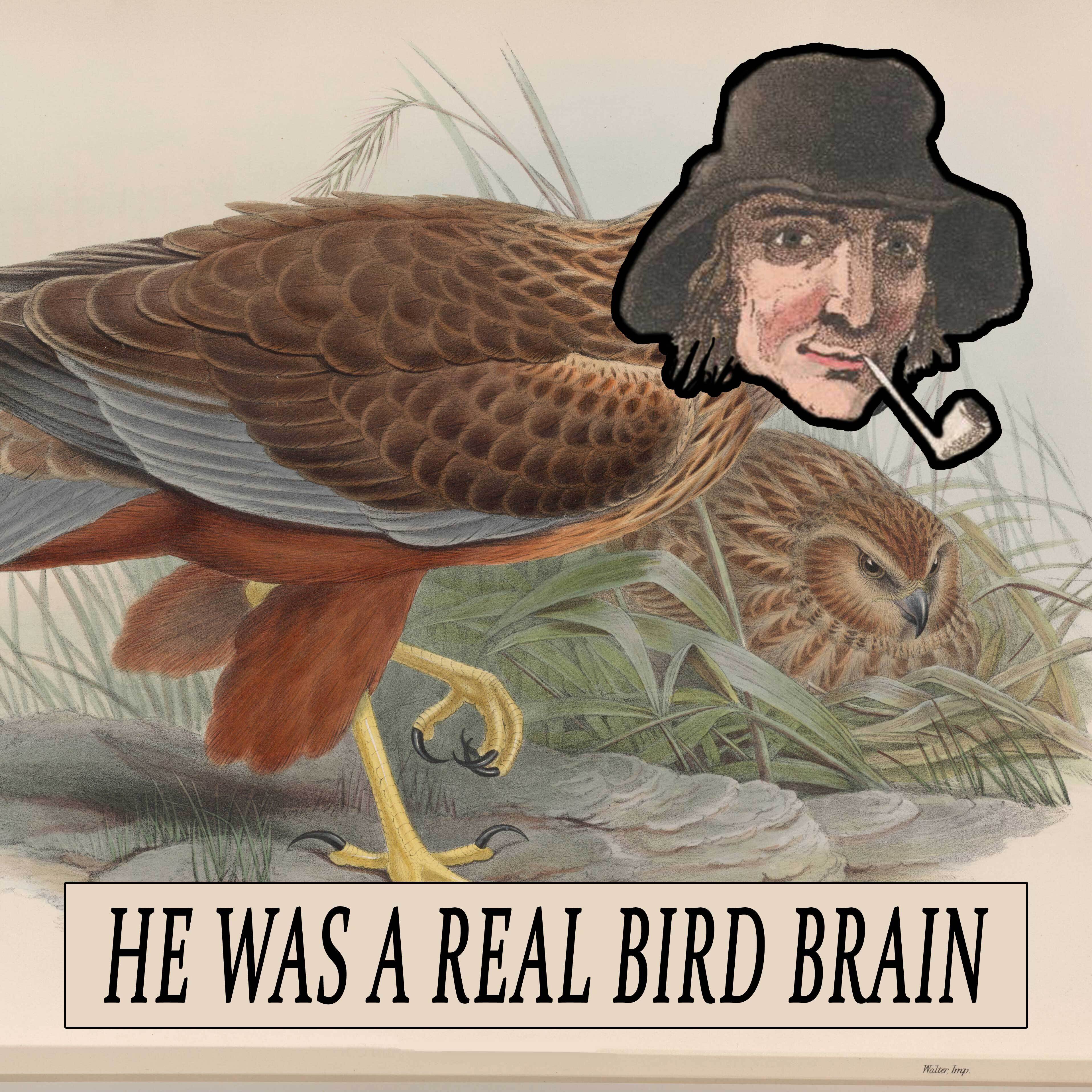 He Was a Real Bird Brain