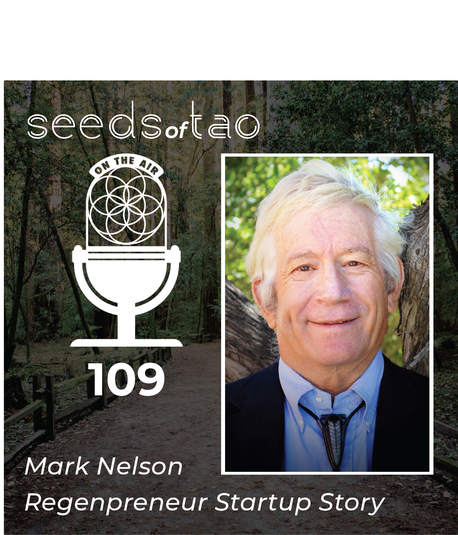 Seeds of Tao: Impact entrepreneurs seeding regenerative paths beyond sustainability