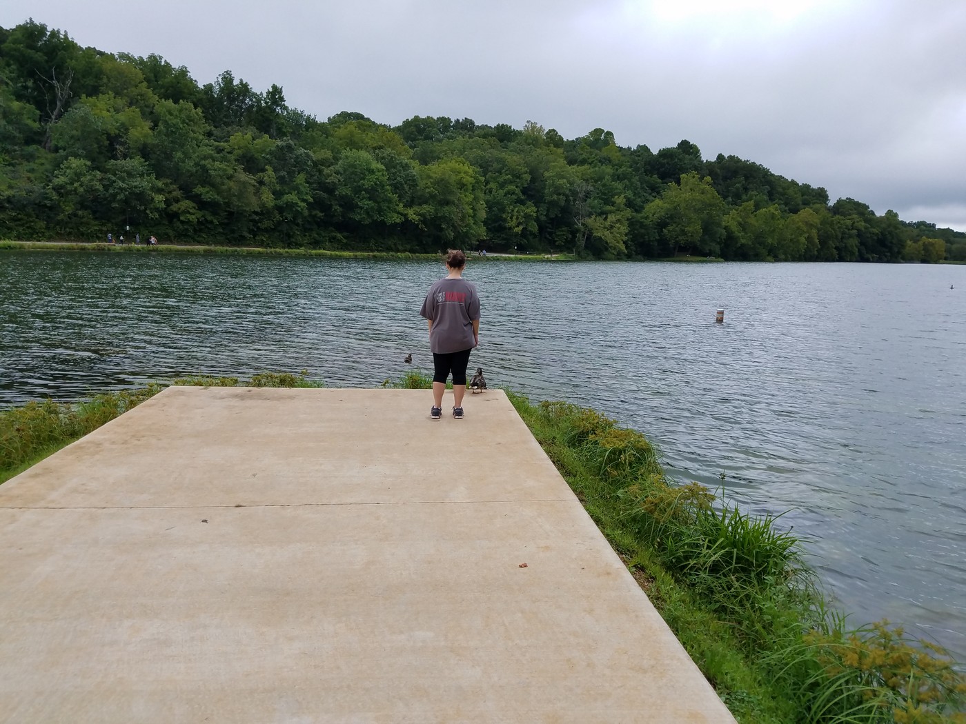 Running: A FEVER