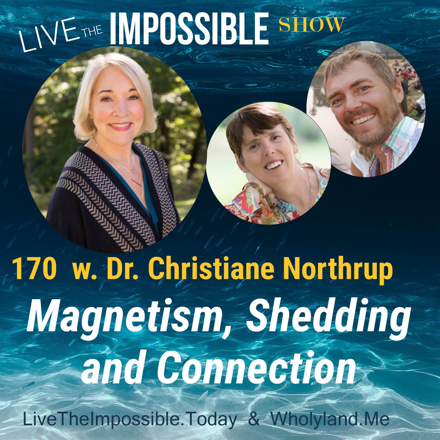 Live the Impossible Show