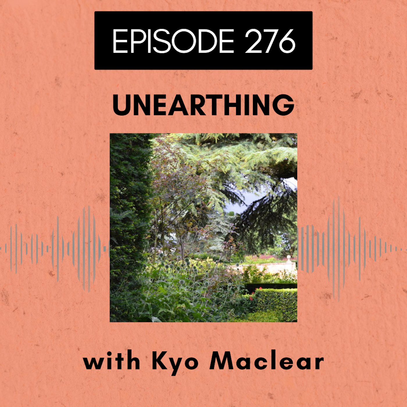 Roots and All - Gardening Podcast