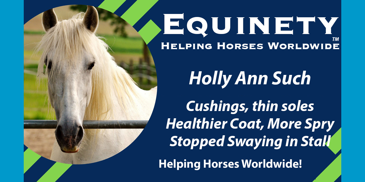 Team Equinety Podcast