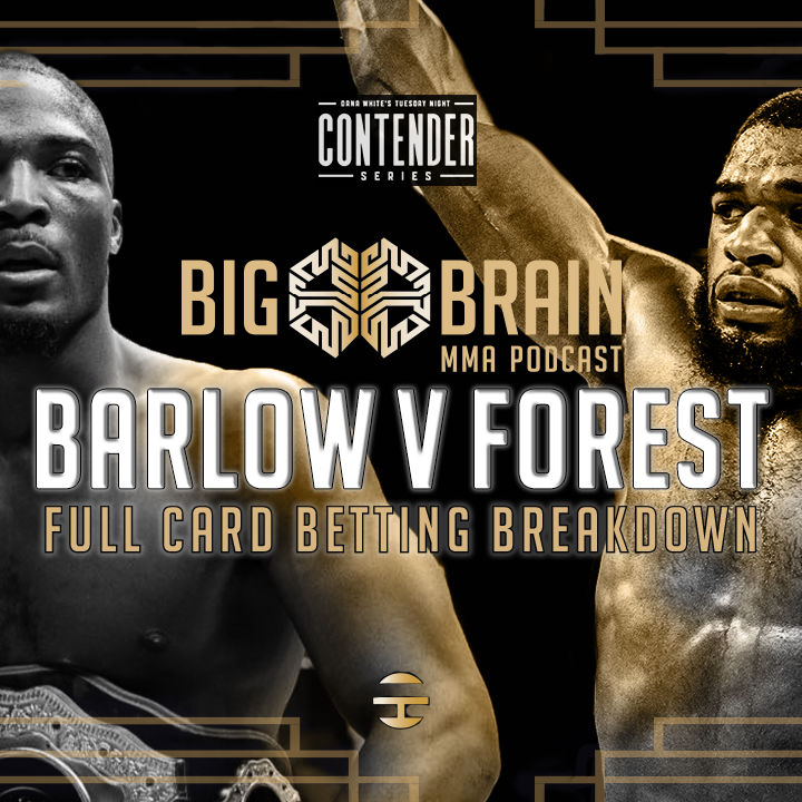 Big Brain MMA Podcast