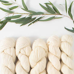 Episode 298: Earth Day, Every Day