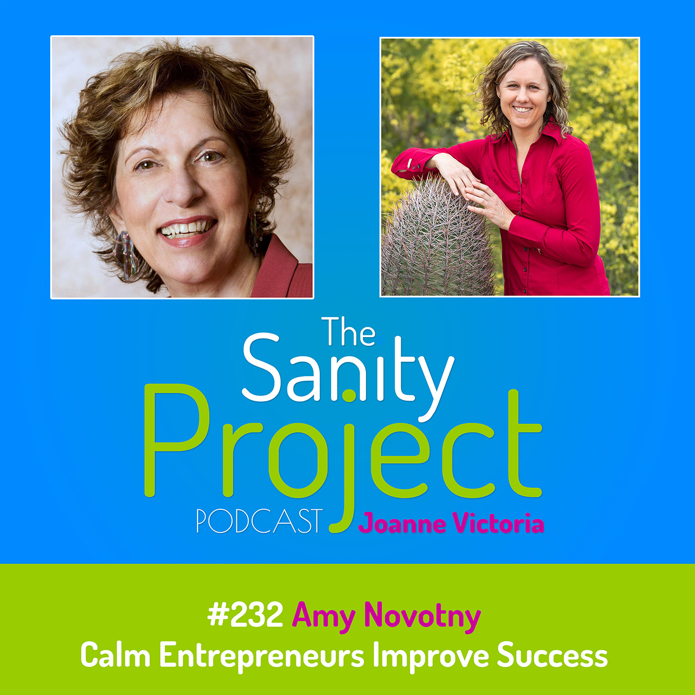 The Sanity Project Podcast