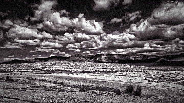 TWK Trucking with kingfish