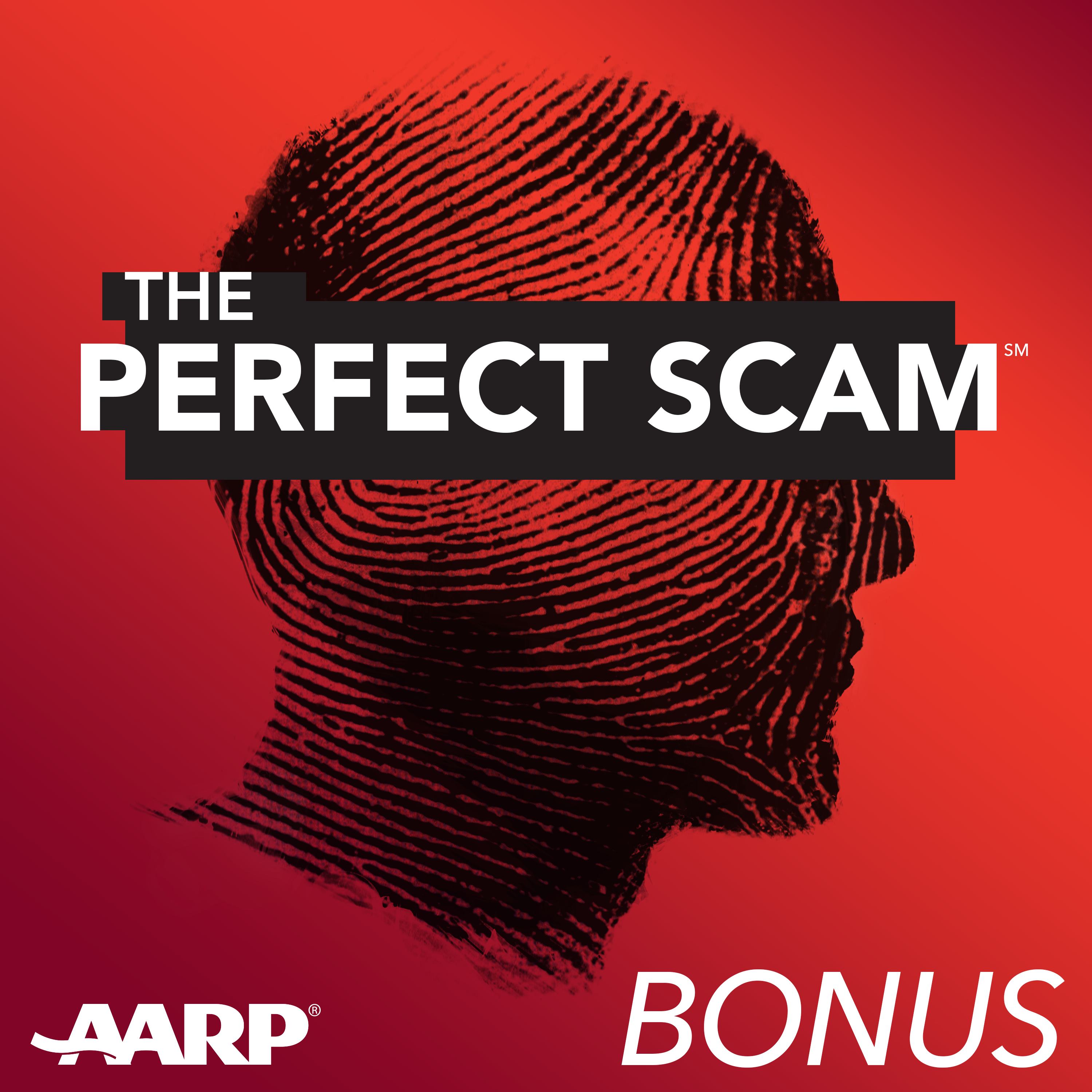 The Perfect Scam
