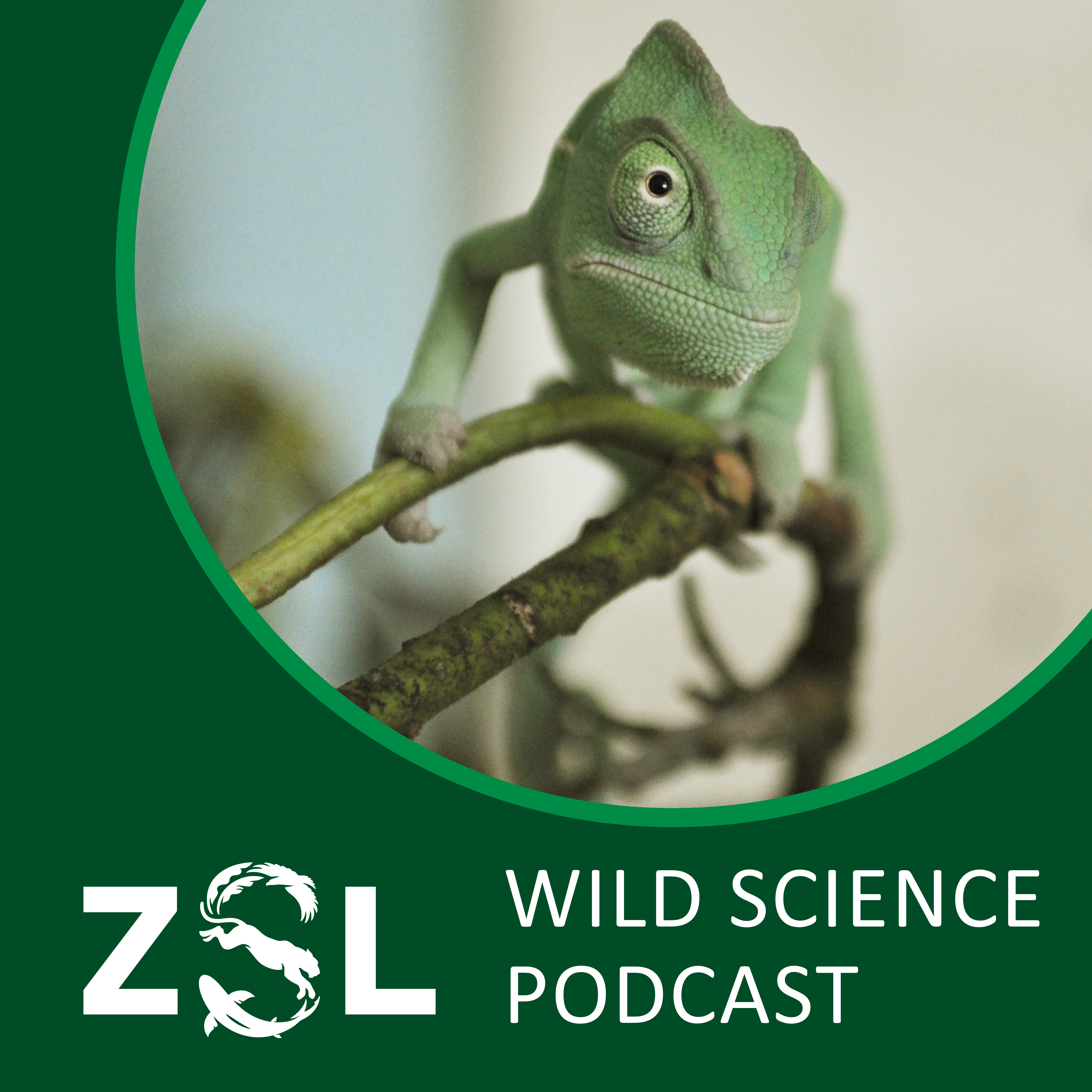 ZSL #050 Mapping Nature’s Code