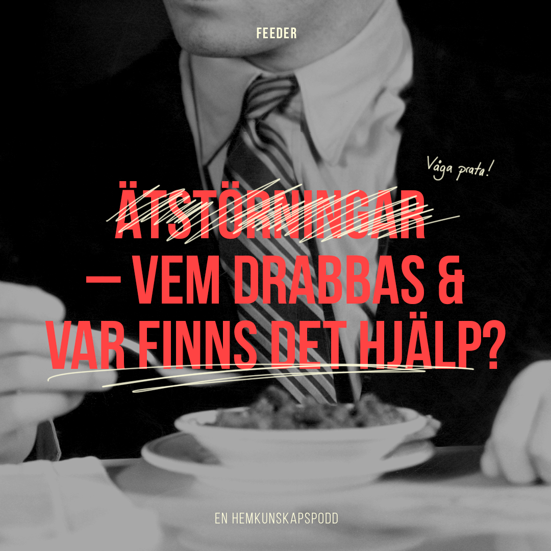 Feeder
