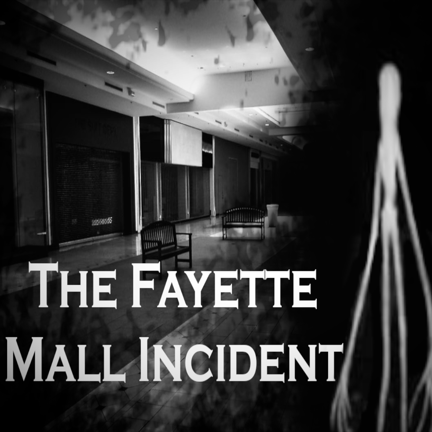 The Fayette Mall Incident