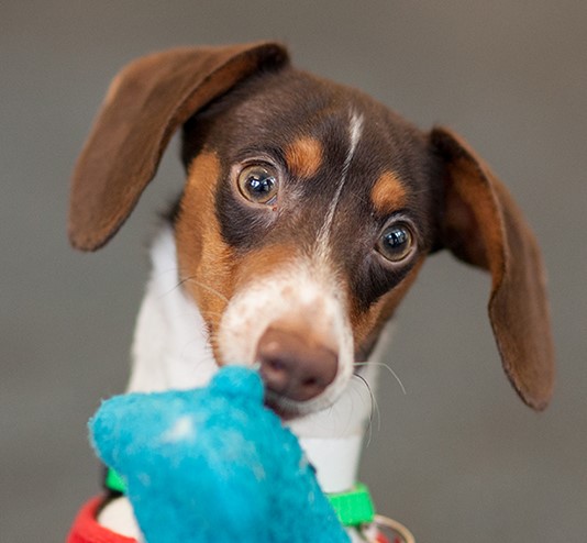 Marijuana: Keep Your Buds Away From Your Buds