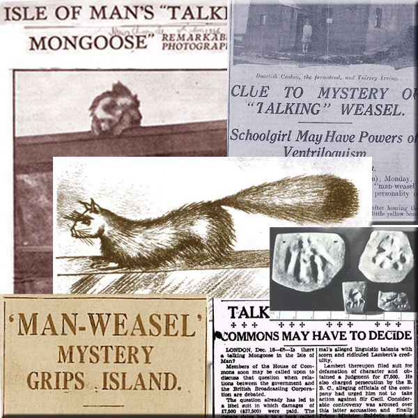 MICROGORIA 39 – Gef the Talking Mongoose