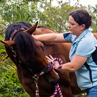 0764: Christine Thompson LC - Using Equine Massage To Keep Horses In Peak Physical and Mental Condition (Listeners' Choice)