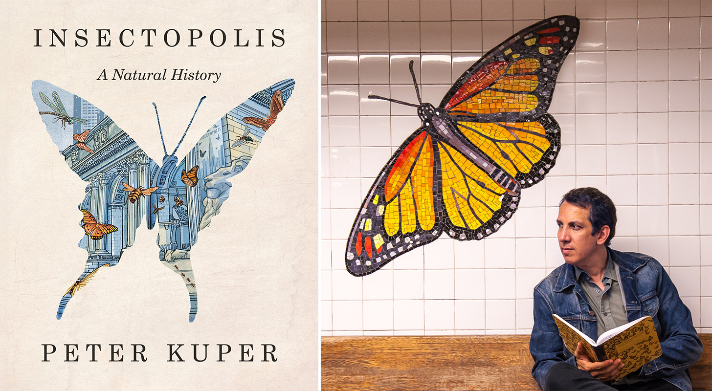 Episode 638 - Peter Kuper