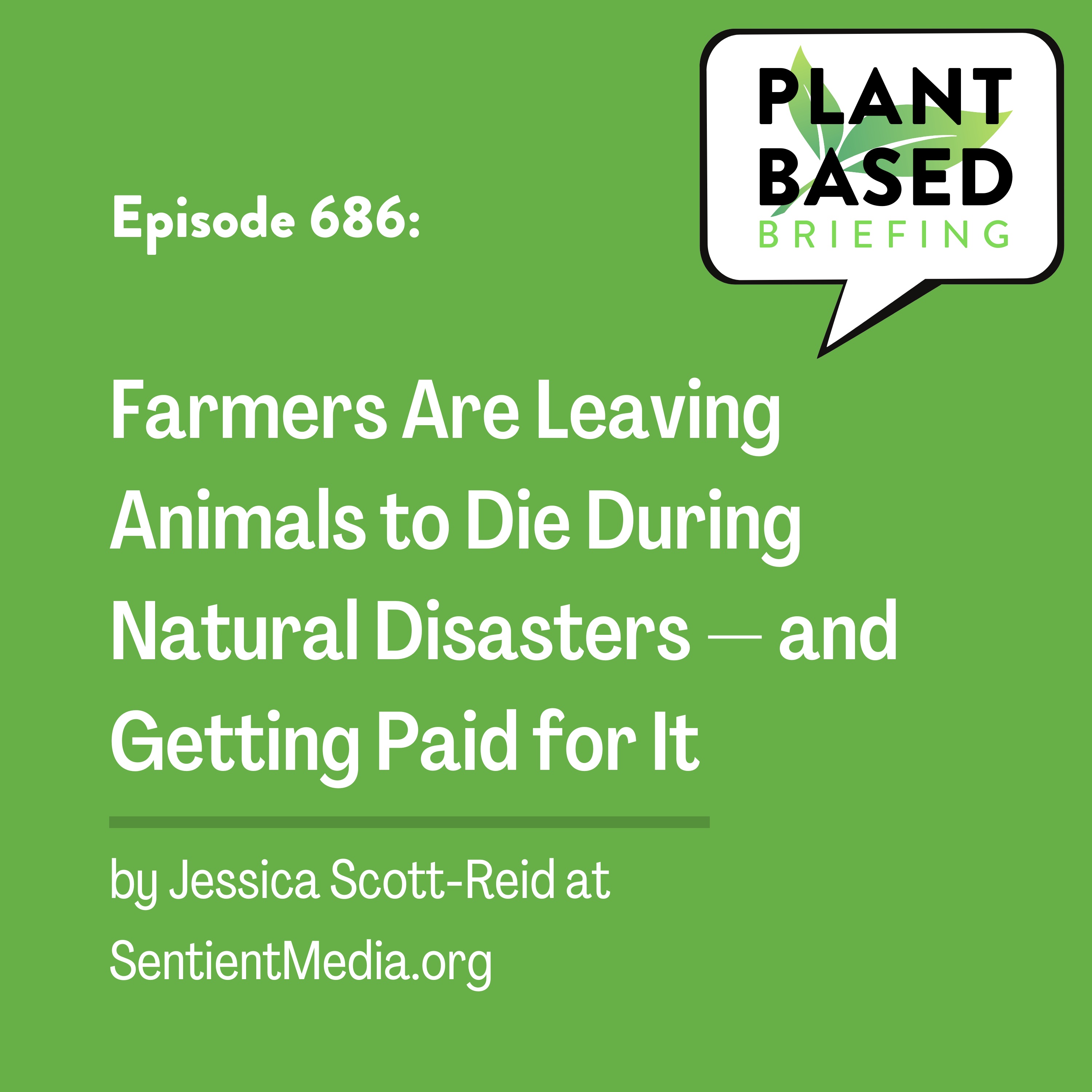 Plant Based Briefing