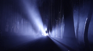 ABDUCTION AT WILLOW WOODS