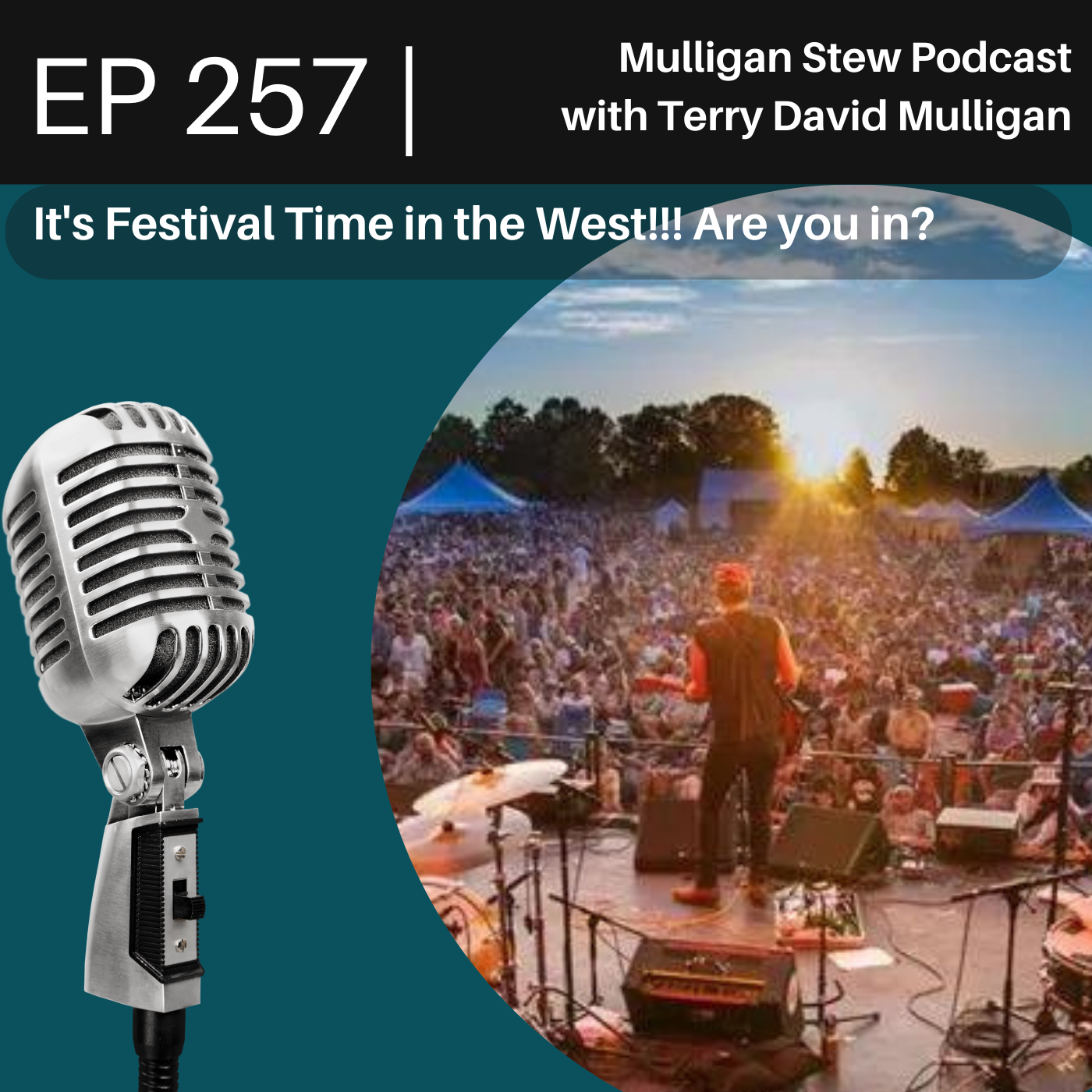 Mulligan Stew