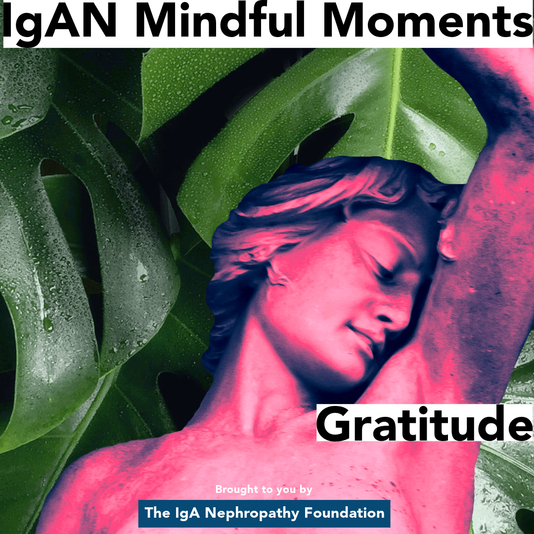 IgAN Mindful Moments: The Gratitude Practice for IgAN Warriors meditation