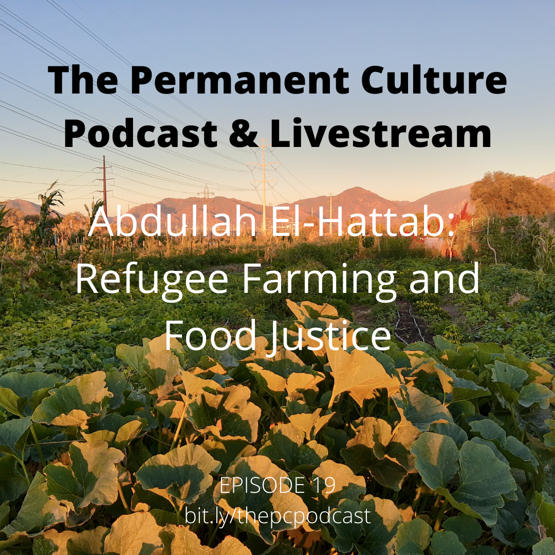 The Permanent Culture Podcast