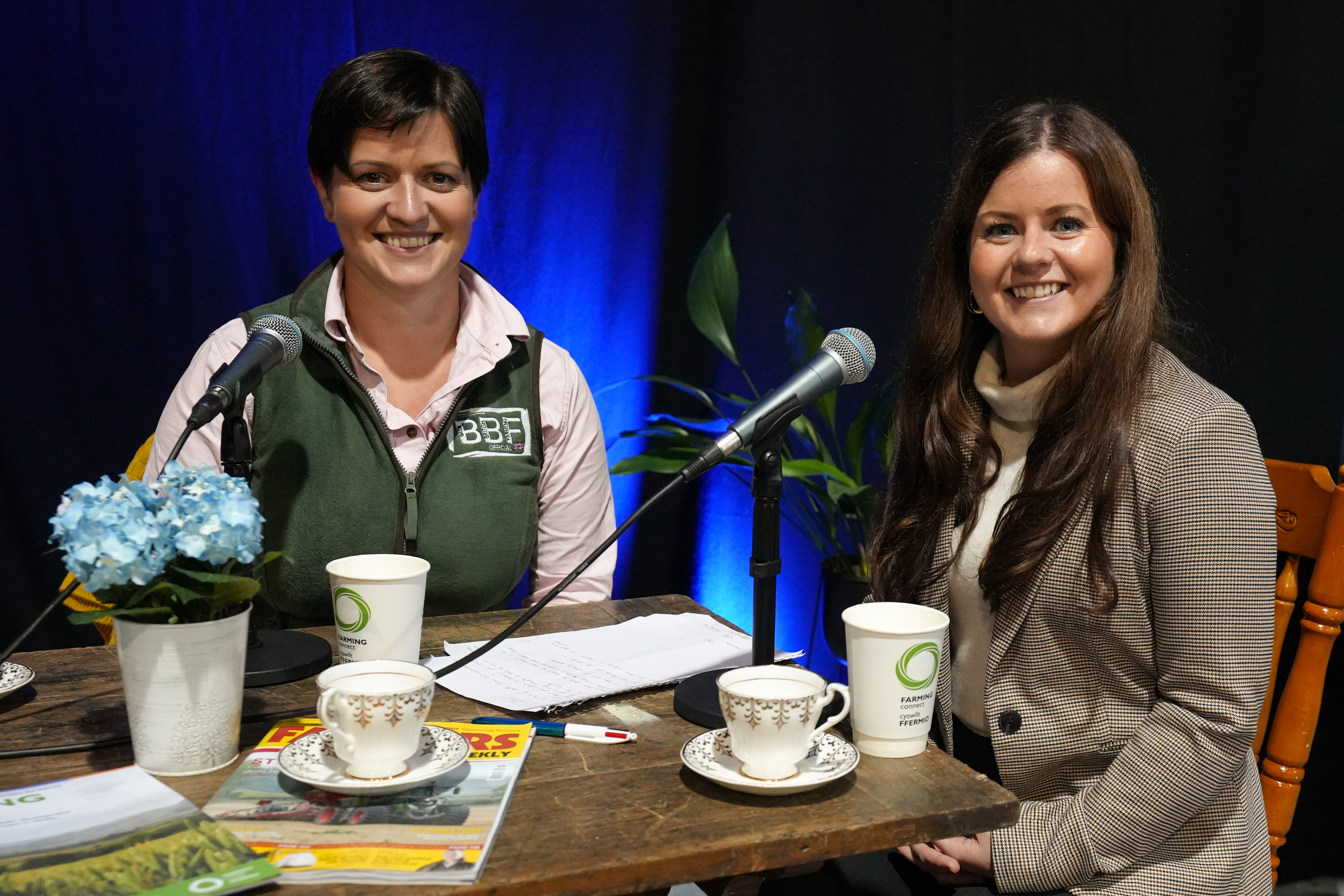 Ear to the Ground / Clust i\'r Ddaear