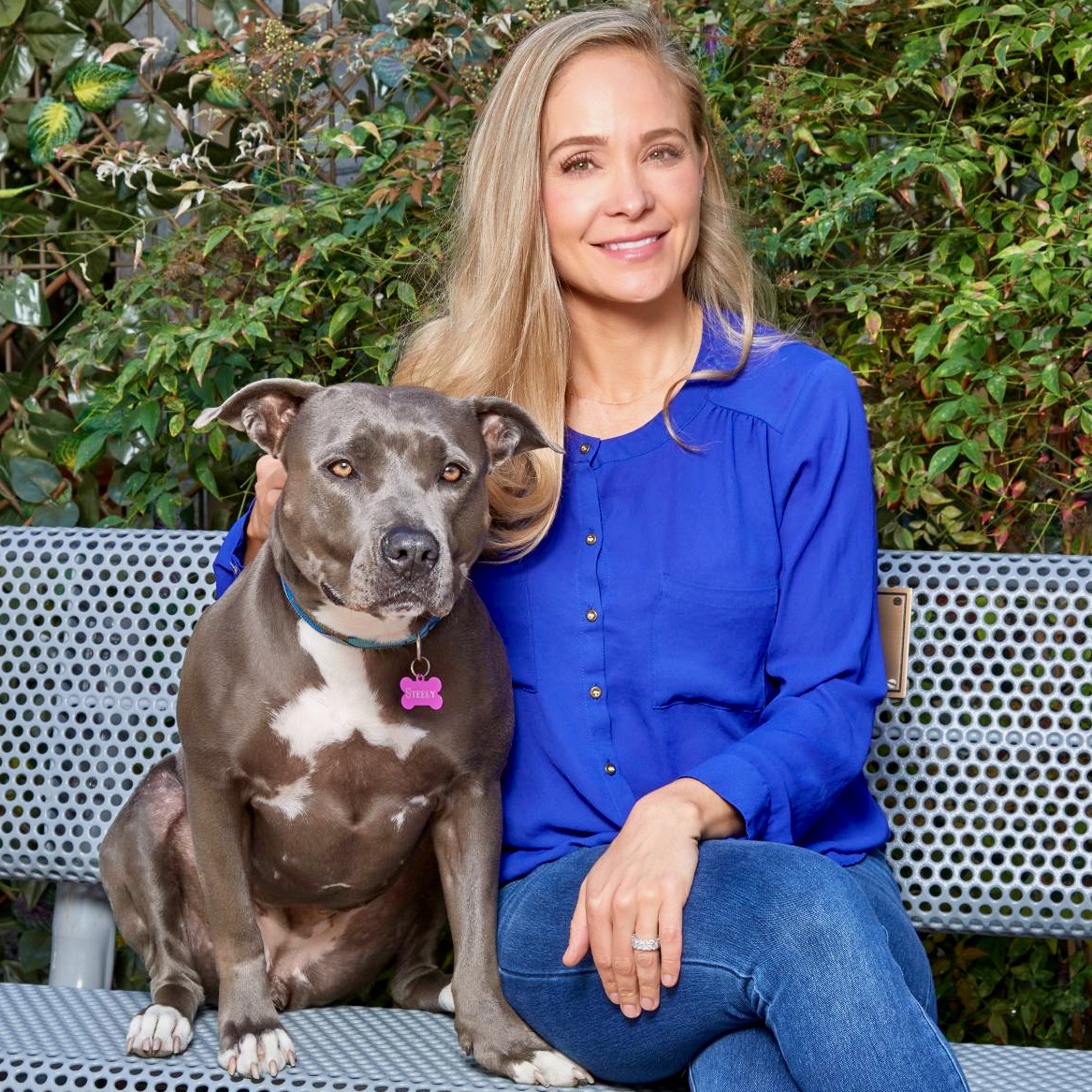 Shelter Success Simplified