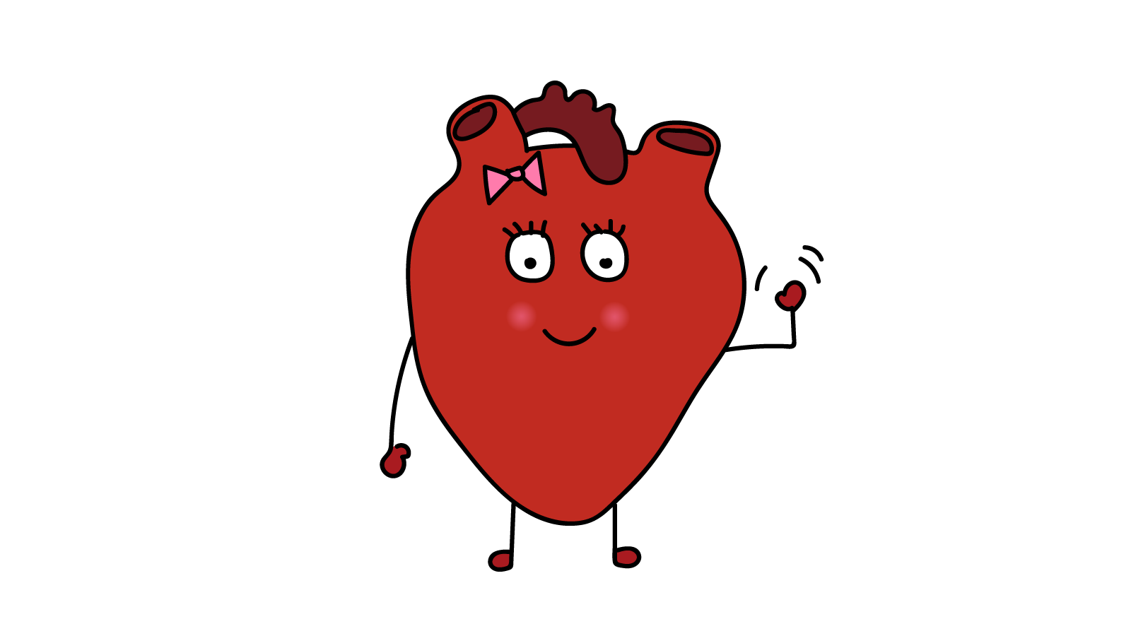Why does my heart beat?