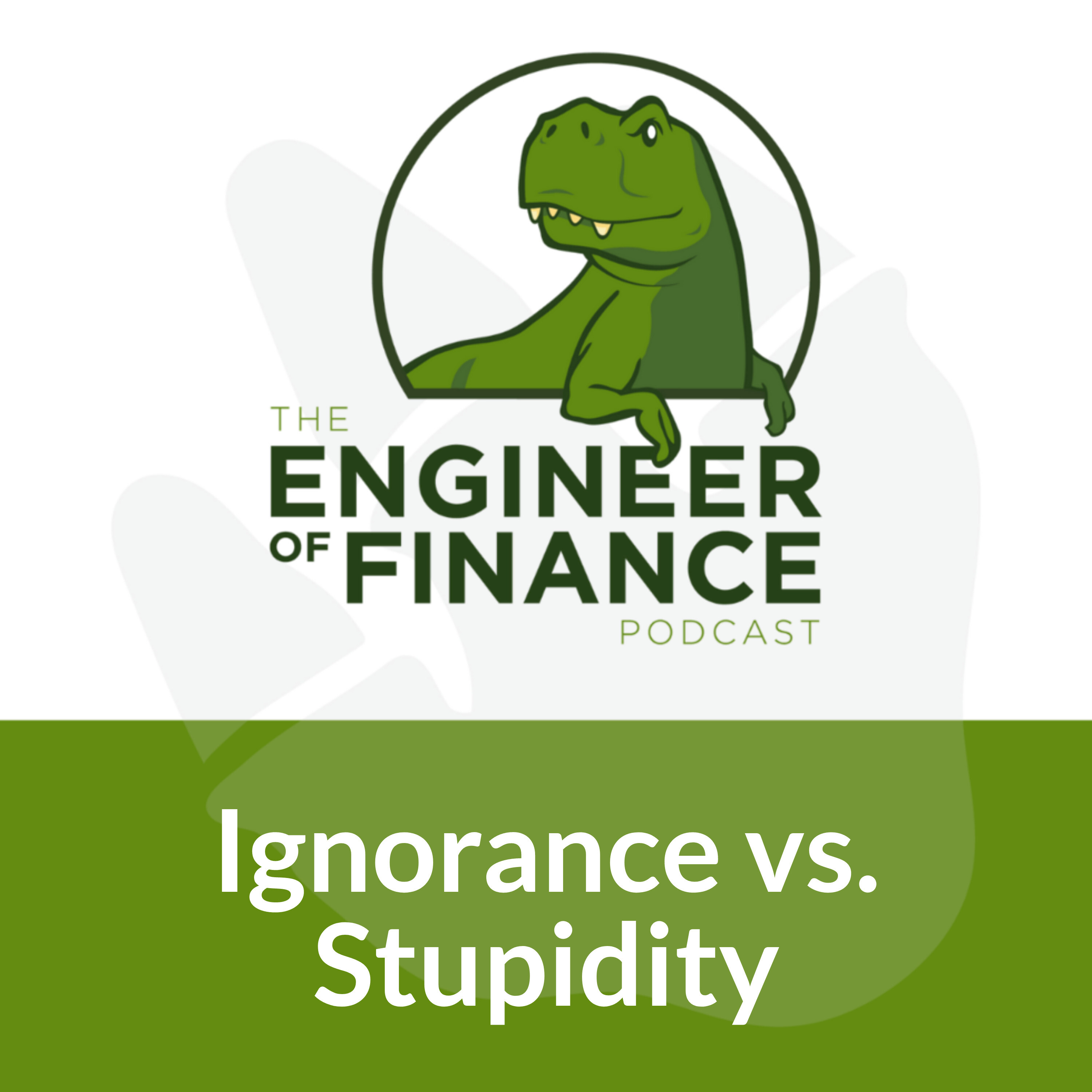 Engineer of Finance