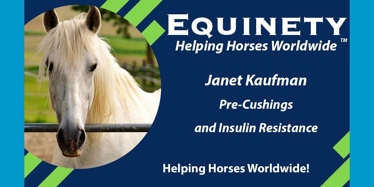 Team Equinety Podcast