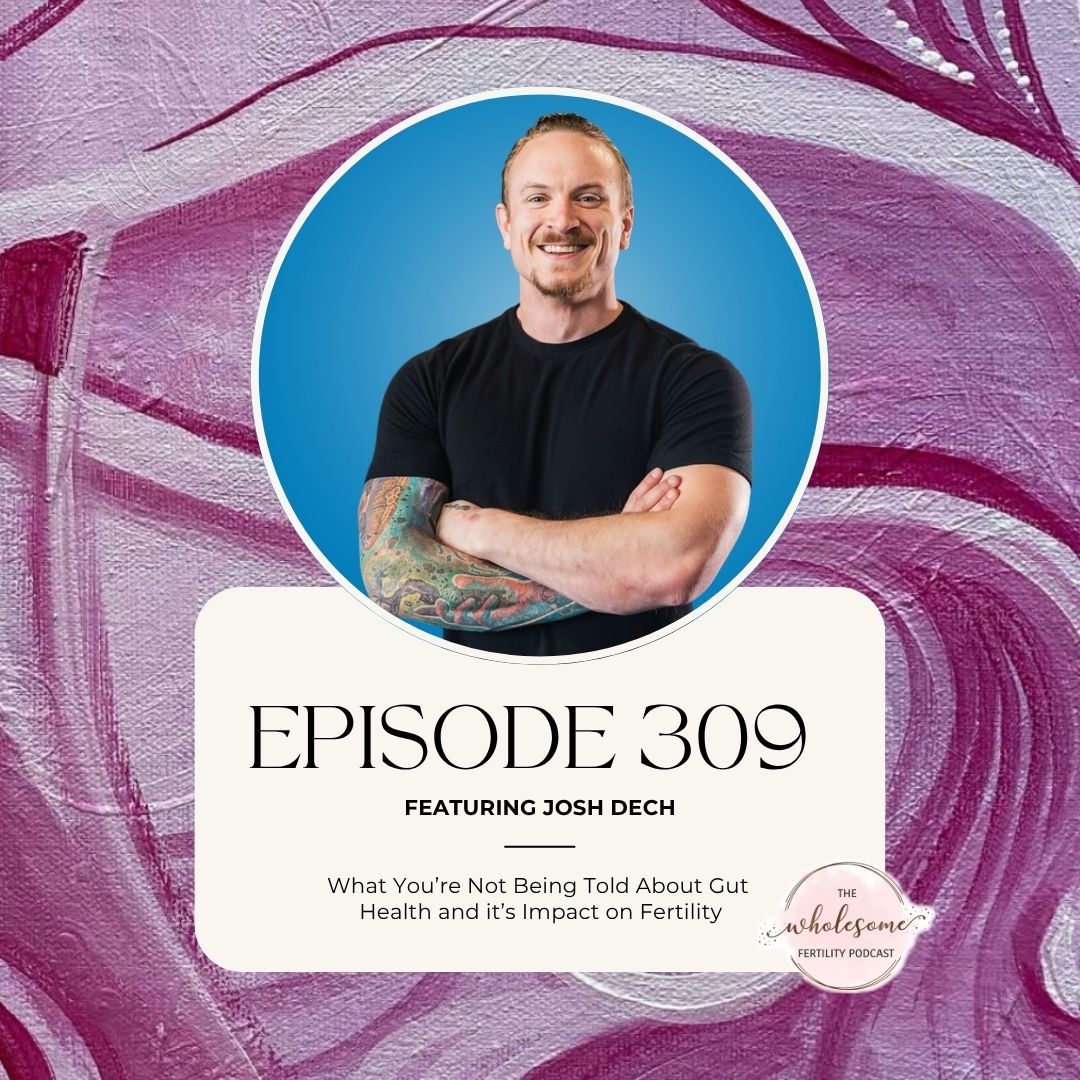 Wholesome Fertility Podcast