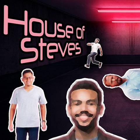 House of Steves