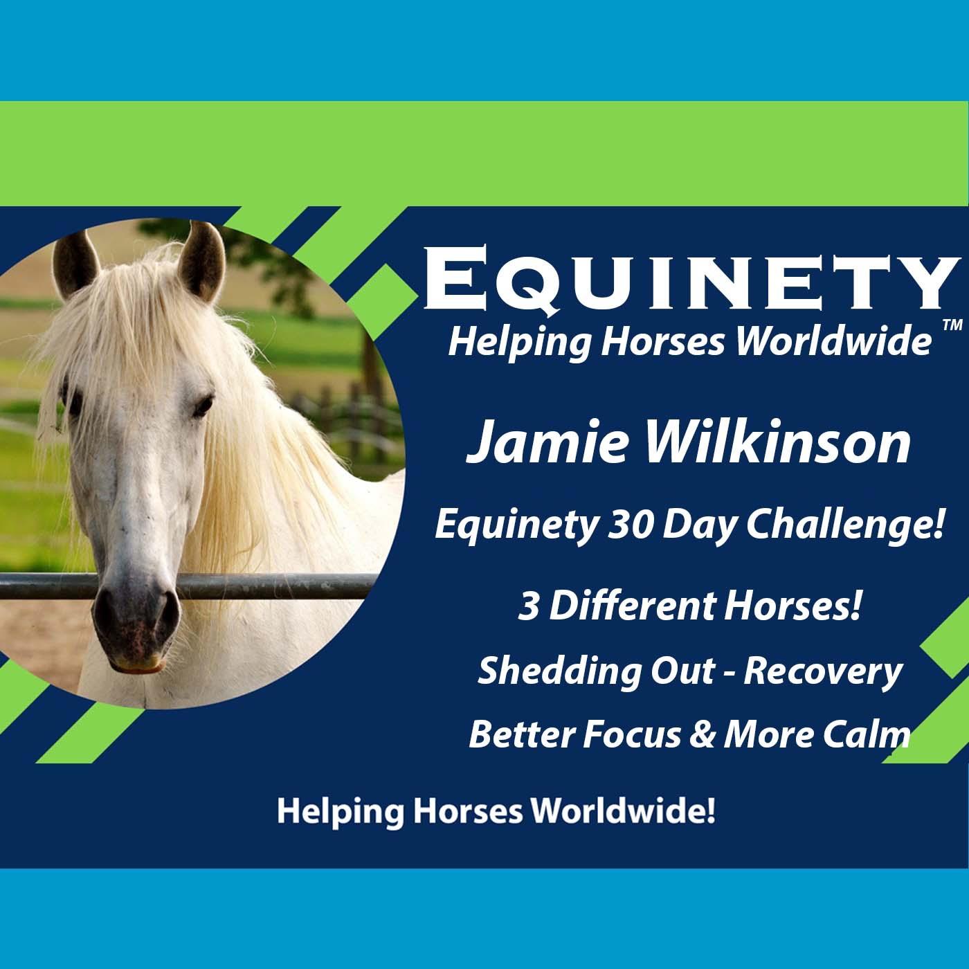 138 - Jamie Wilkinson - Shedding - Recovery - Better Focus - More Calm