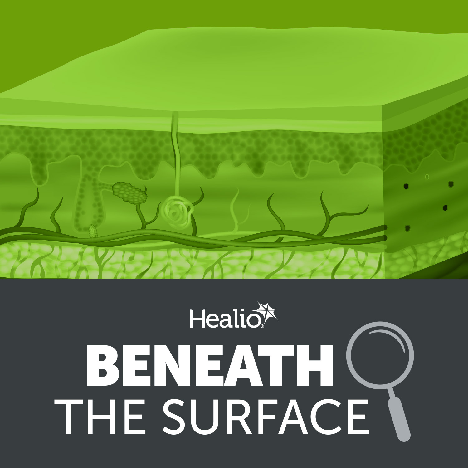 Beneath the Surface