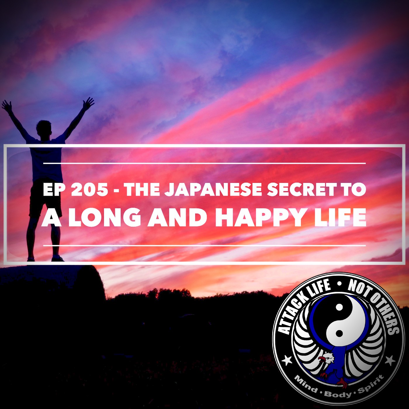 Ep 205 - The Japanese Secret to a Long and Happy Life