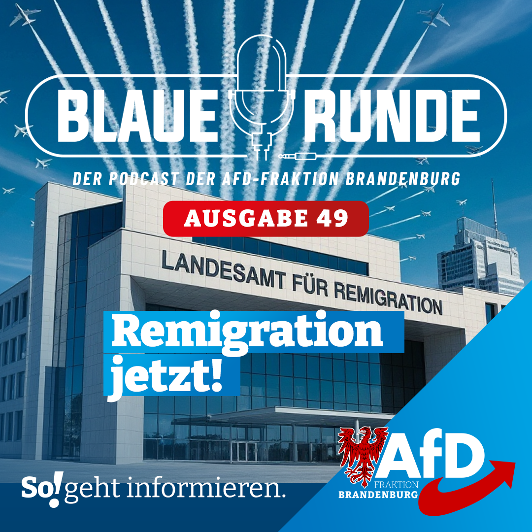 Remigration jetzt! | Die Blaue Runde, Ausgabe 49/25 vom 23. September 2025
