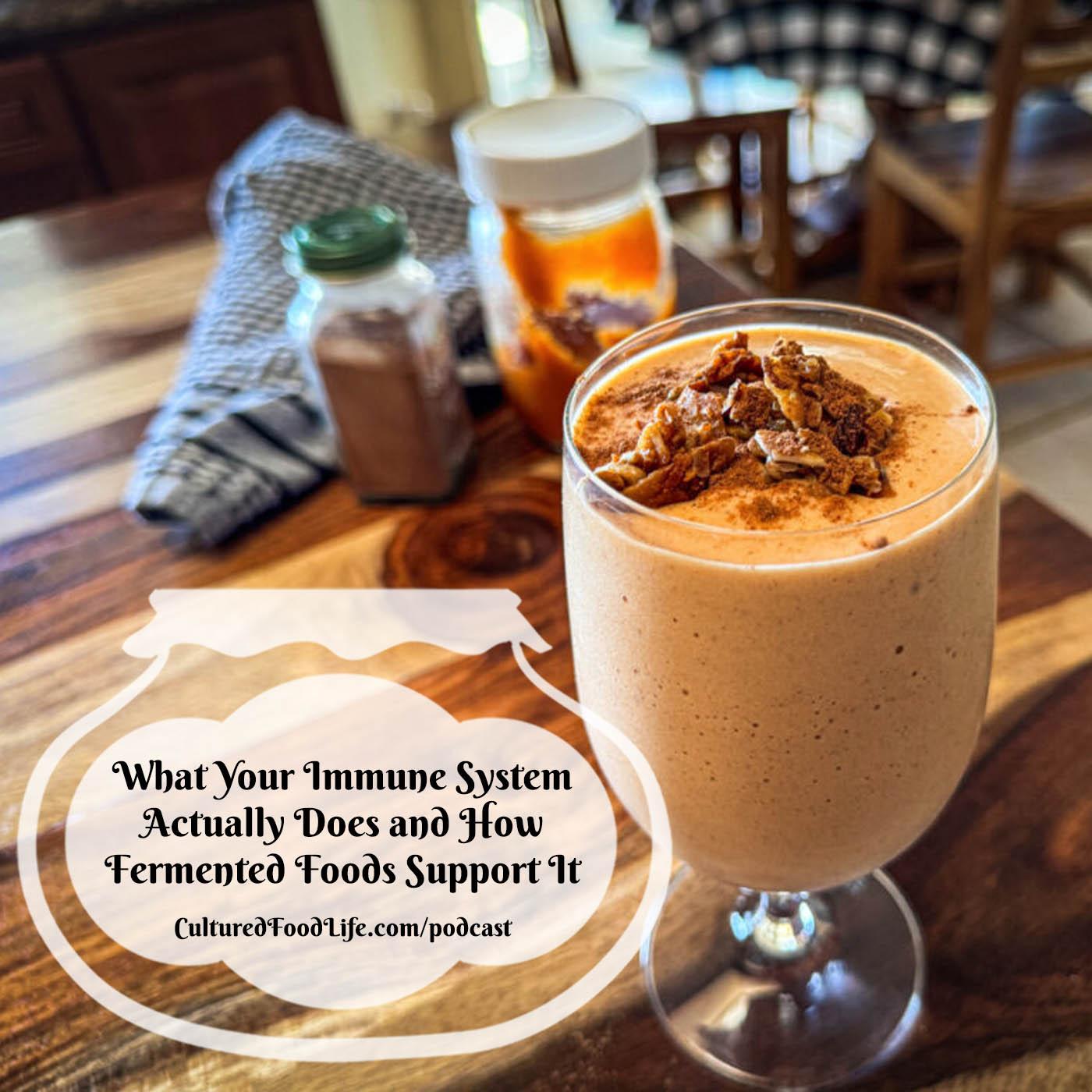 Episode 335: What Your Immune System Actually Does and How Fermented Foods Support It