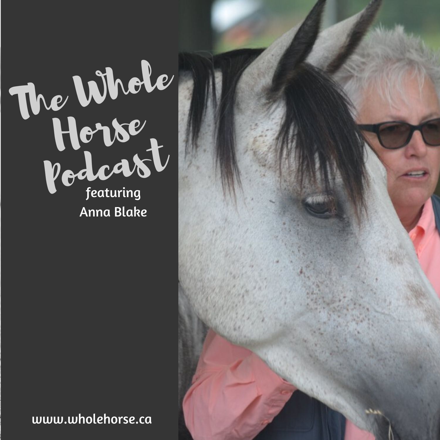The Whole Horse Podcast with Alexa Linton