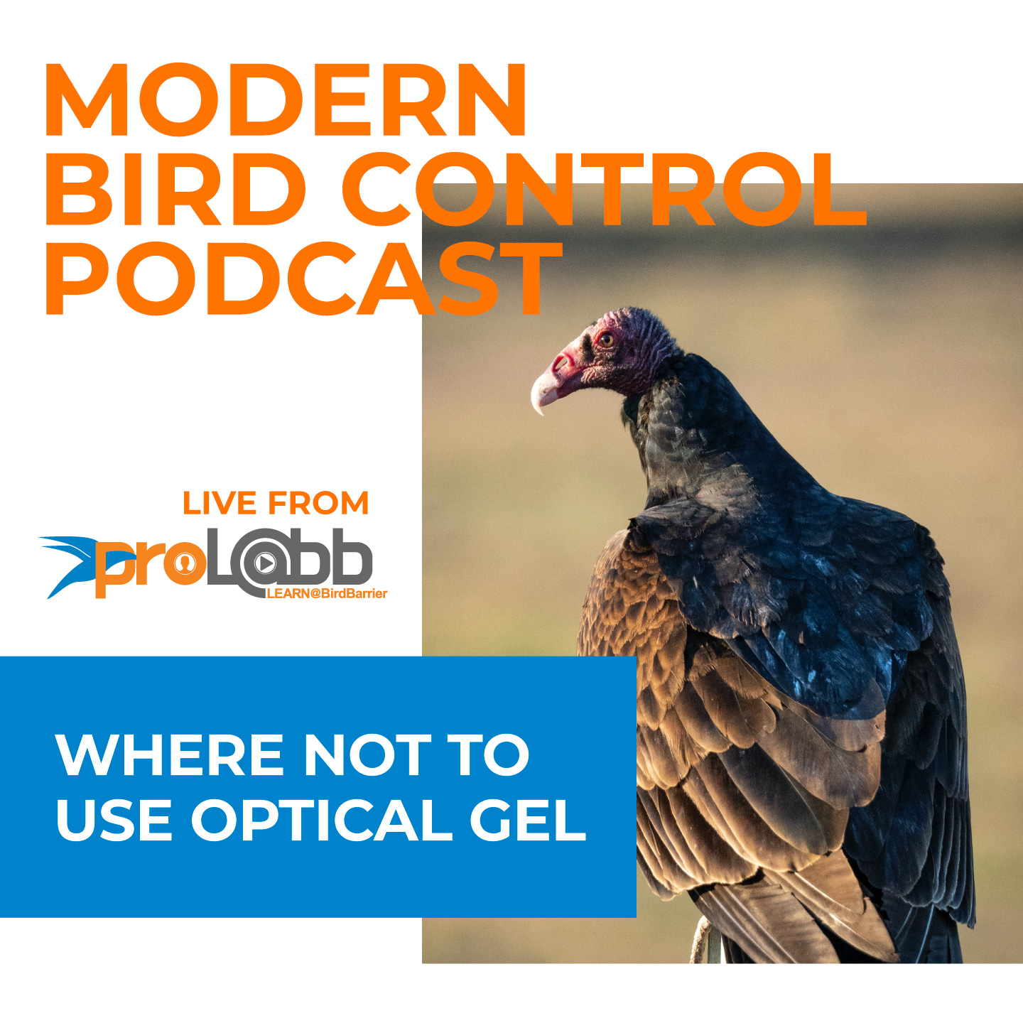 Episode: Where NOT To Use Optical Gel