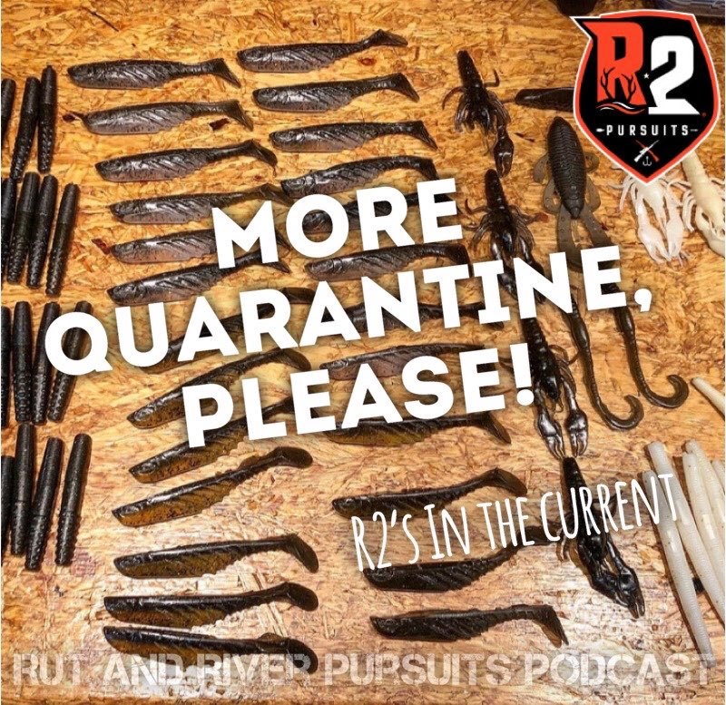 More Quarantine, Please! - R2's In The Current