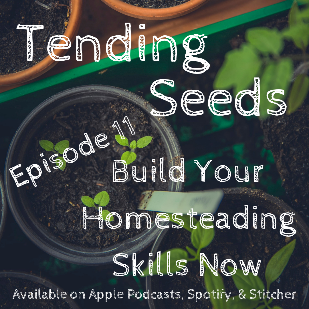 Tending Seeds: Adventures in Gardening, Homesteading, and Herbalism
