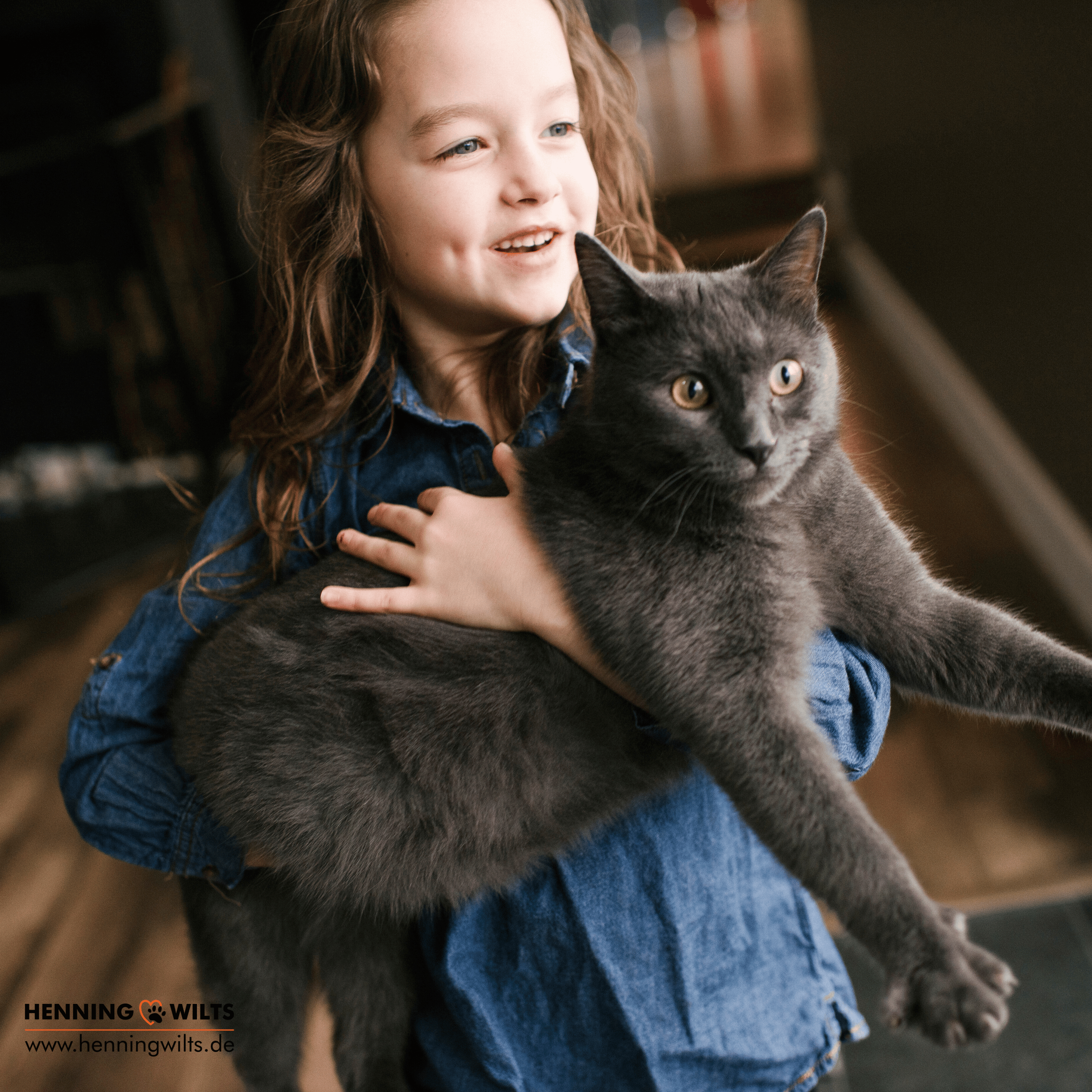 Katze, Hund gesund - Der Tierarztpodcast