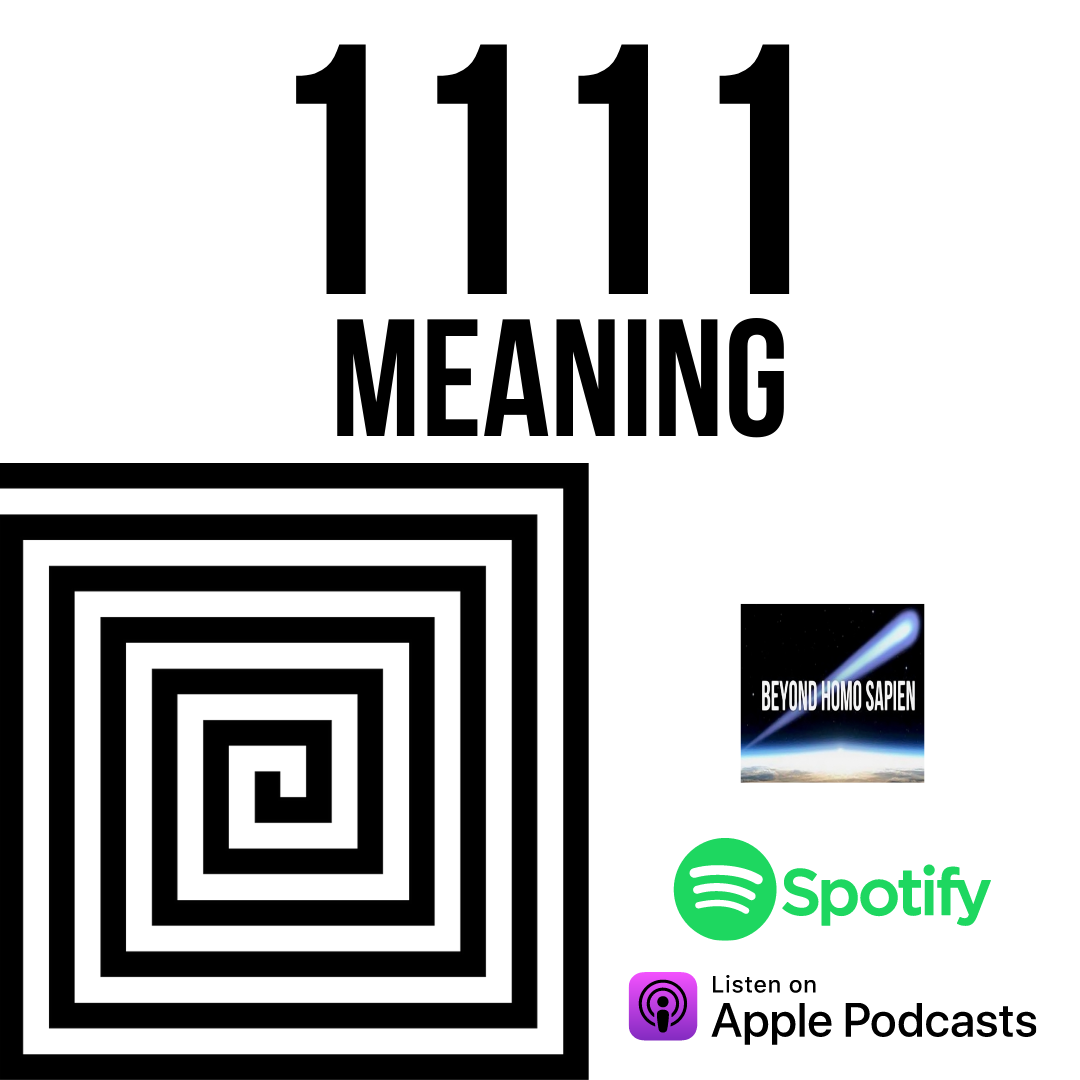 1111 