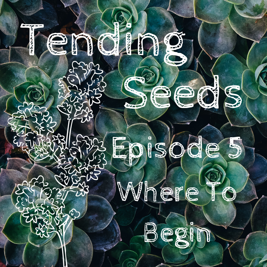 Tending Seeds: Adventures in Gardening, Homesteading, and Herbalism