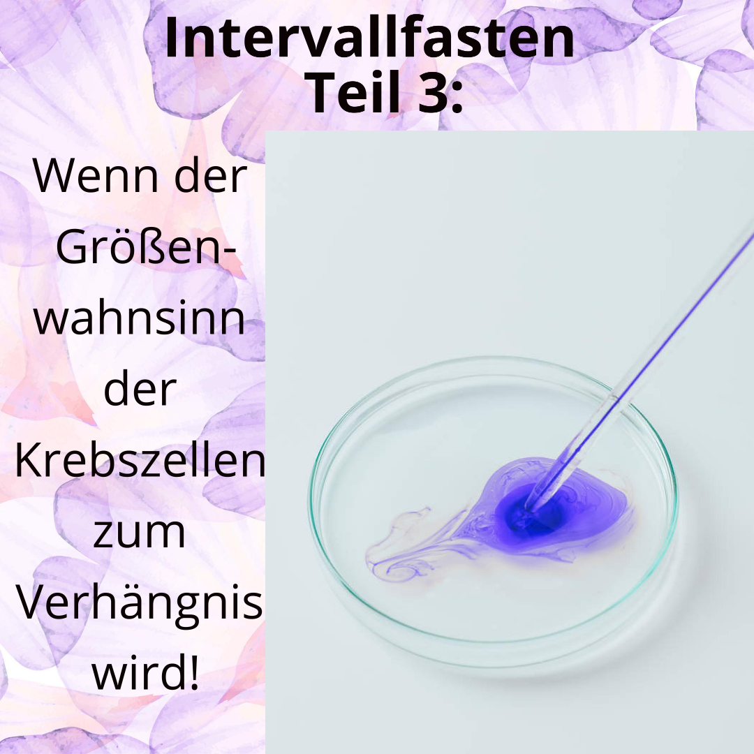 Wunderwelt Körper